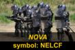 Nova Electronic Immobilization, PLC - Negotiations and Final Testing
